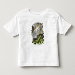 VS, Californië, Yosemite National Park. A Kinder Shirts