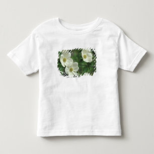 VS, Californië, Yosemite NP, langs Merced Kinder Shirts