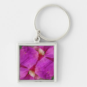 VS, Colorado, Boulder. Clematis bloemmontage Sleutelhanger