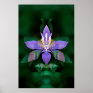 VS, Colorado, Boulder County Poster