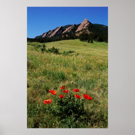 VS, Colorado, Boulder. Flatirons en papaver Poster (Voorkant)
