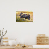 VS, Colorado, Cameron Pass. Gloed met Poster (Keuken)