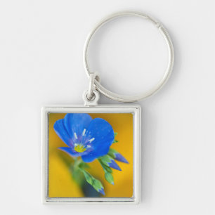 VS, Colorado. Close-up van ooievaarsbek geranium Sleutelhanger