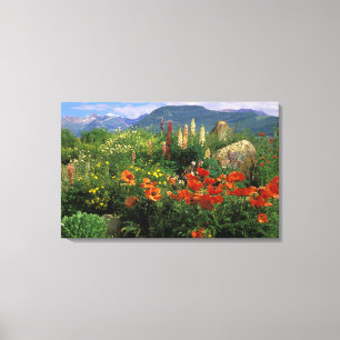 VS, Colorado, Crested Butte. Klaprozen en lupine Canvas Afdruk