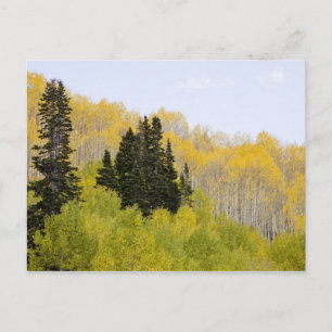 VS, Colorado, Gunnison National Forest, langs 2 Briefkaart
