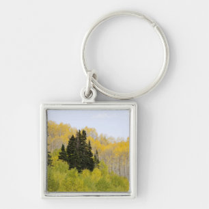 VS, Colorado, Gunnison National Forest, langs 2 Sleutelhanger