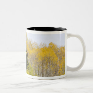 VS, Colorado, Gunnison National Forest, langs 2 Tweekleurige Koffiemok