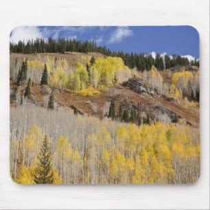 VS, Colorado, Gunnison National Forest, langs Muismat