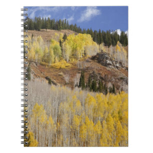VS, Colorado, Gunnison National Forest, langs Notitieboek