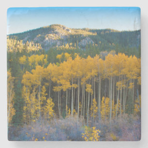 VS, Colorado. Helder gele esp in Rocky Mountains Stenen Onderzetter