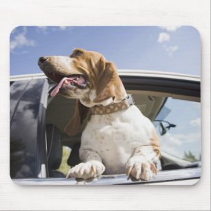 VS, Colorado, hond die door het raam van de auto k Muismat