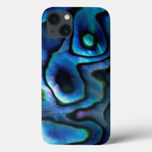 VS, Colorado, Lafayette. Abalone schelp iPhone 13 Hoesje