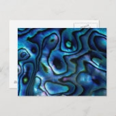 VS, Colorado, Lafayette. Abalone shell Briefkaart (Voorkant / Achterkant)