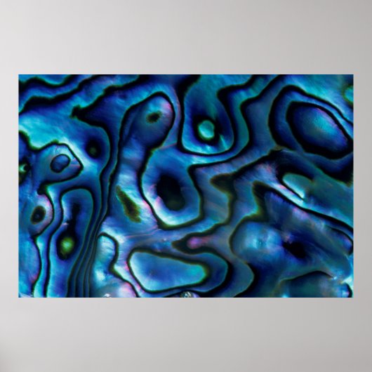 VS, Colorado, Lafayette. Abalone shell Poster (Voorkant)