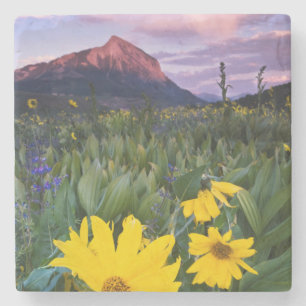 VS, Colorado, Mt. Crested Butte Stenen Onderzetter