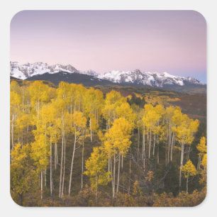 VS, Colorado, Rocky Mountains. Dageraad in de San Vierkante Sticker