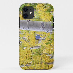VS, Colorado, Rocky Mountains. Intieme espot 2 iPhone 11 Hoesje