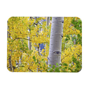 VS, Colorado, Rocky Mountains. Intieme espot 2 Magneet