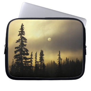 VS, Colorado, San Isabel National Forest. Laptop Sleeve