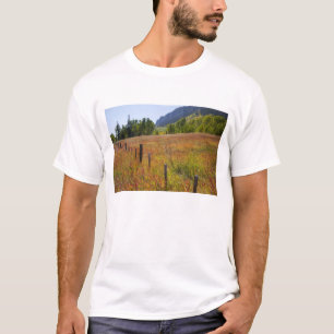 VS, Colorado, San Juan National Forest, langs T-shirt
