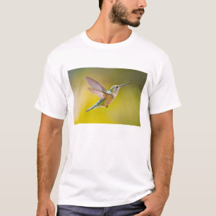 VS, Colorado, Summit County, Heeney. Zijaanzicht T-shirt