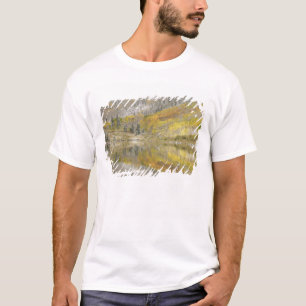 VS, Colorado, White River National Forest, 2 T-shirt