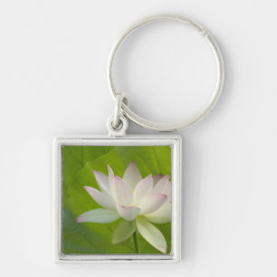 VS, DC, Washington, Kenilworth Aquatic Sleutelhanger