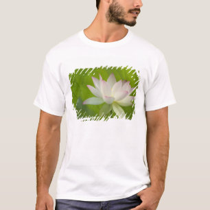 VS, DC, Washington, Kenilworth Aquatic T-shirt