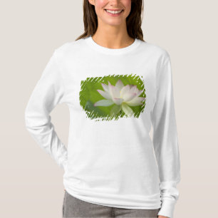 VS, DC, Washington, Kenilworth Aquatic T-shirt