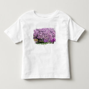 VS, Delaware, Wilmington. Houten bank onder Kinder Shirts