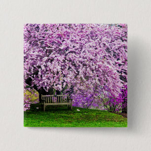 VS, Delaware, Wilmington. Houten bank onder Vierkante Button 5,1 Cm