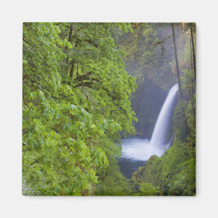 VS, Eagle Creek, Columbia Gorge, Oregon. 2 Magneet