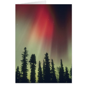VS, Fairbanks gebied, Centraal Alaska, Aurora