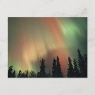VS, Fairbanks gebied, Centraal Alaska, Aurora 3 Briefkaart