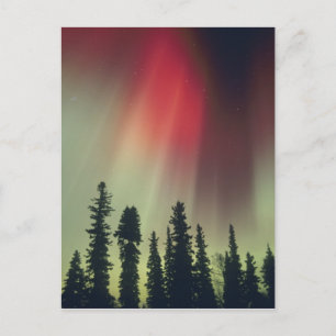 VS, Fairbanks gebied, Centraal Alaska, Aurora Briefkaart