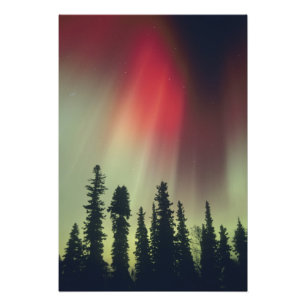 VS, Fairbanks gebied, Centraal Alaska, Aurora Foto Afdruk