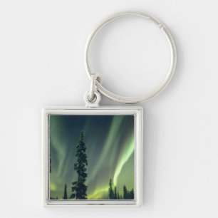 VS, Fairbanks gebied, Centraal Alaska, Aurora Sleutelhanger