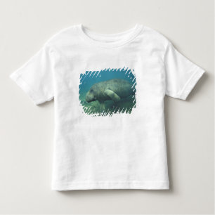 VS, FL, Manatee Kinder Shirts
