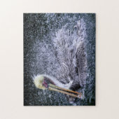 VS, Florida. Brown Pelican Legpuzzel (Verticaal)