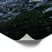 VS, Florida. Brown Pelican Poster (Hoek)