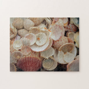 VS, Florida. Close-up van schelpen op Santa Rosa Legpuzzel