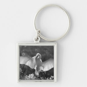 VS, Florida, Grote Zilverreiger (Ardea alba) infra Sleutelhanger