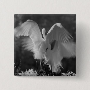 VS, Florida, Grote Zilverreiger (Ardea alba) infra Vierkante Button 5,1 Cm