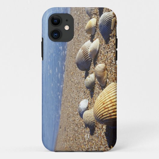 VS, Florida, Kustzee Schelpen Case-Mate iPhone Case (Achterkant)