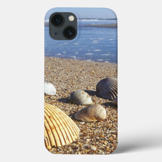 VS, Florida, Kustzee Schelpen Case-Mate iPhone Case (Achterkant)
