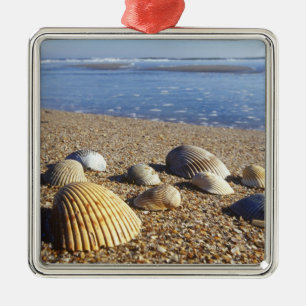 VS, Florida, Kustzee Schelpen Metalen Ornament