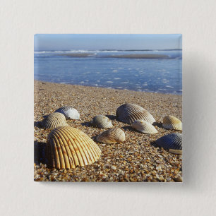 VS, Florida, Kustzee Schelpen Vierkante Button 5,1 Cm