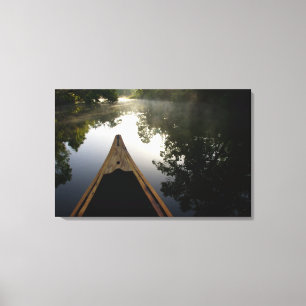VS, Florida, Ocala National Forest, Alexander Canvas Afdruk