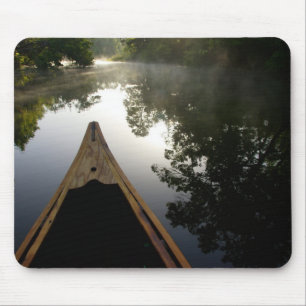 VS, Florida, Ocala National Forest, Alexander Muismat