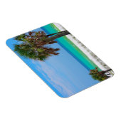 VS, Florida. palmbomen op de maragingkust Magneet (Rechterzijde)